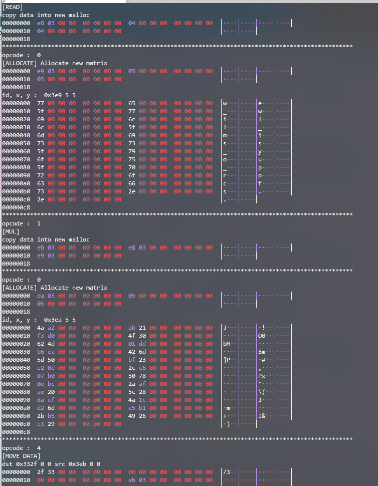 %5BCodegate%202020%20Final%20write-up%5D%20MatrixVM%209e759068c83a41f68b60a7260b01305c/Untitled%202.png